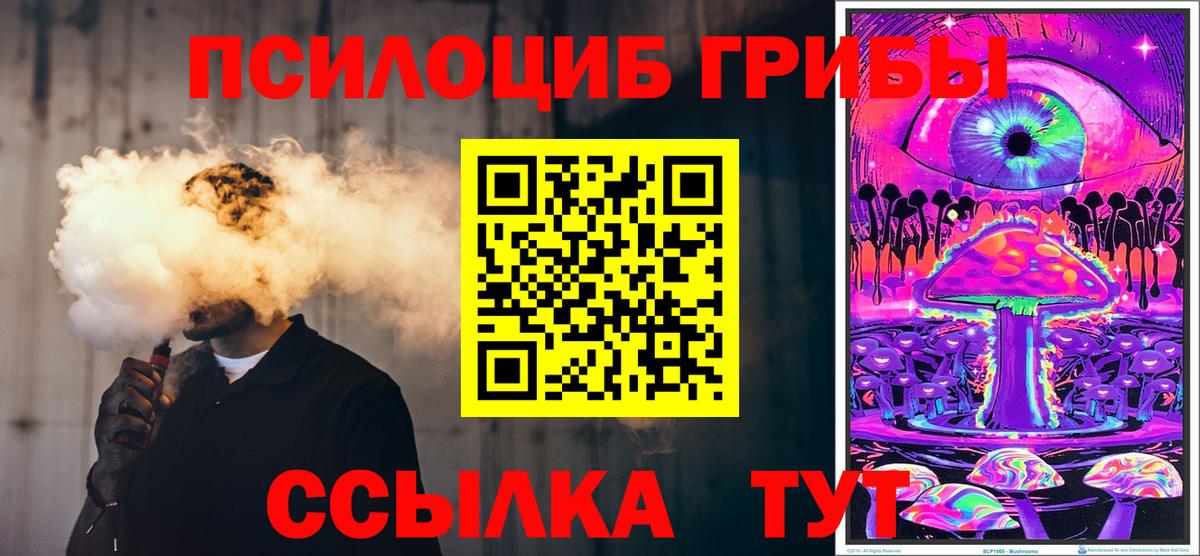 Псилоцибиновые грибы Cubensis Когалым