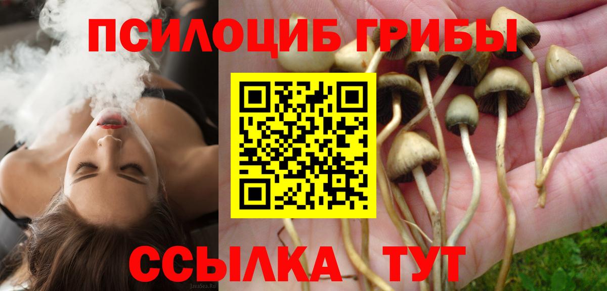 Псилоцибиновые грибы Magic Shrooms  Галлюциногенные грибы Psilocybine cubensis  Когалым  Вход с VPN 